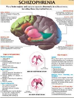 Schizophrenia