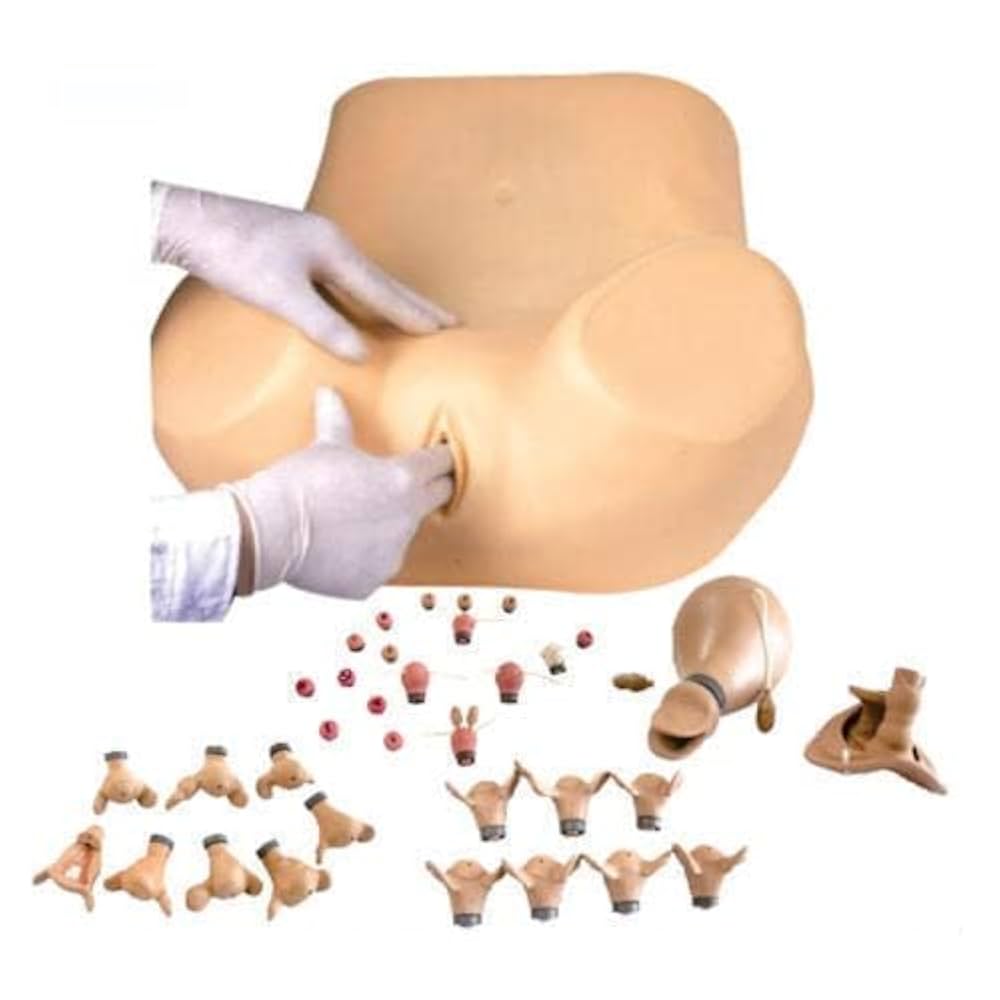 Advanced Gynecological Training Simulator