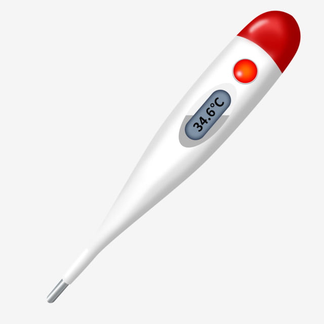 Digital Thermometer