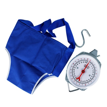 Salter Scale