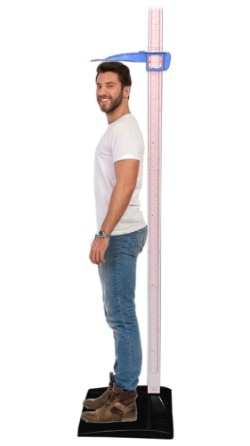 Stadiometer Height Scale