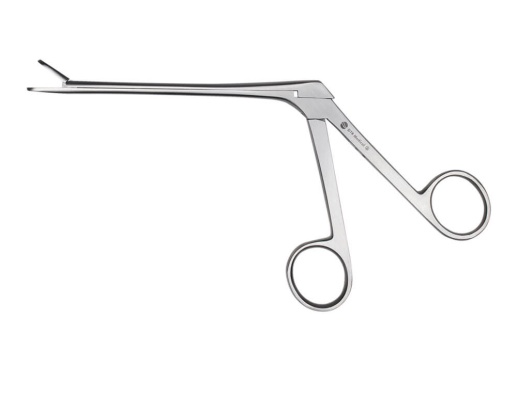 Nasal Punch Forceps