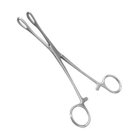 Sponge Holding Forceps Oval